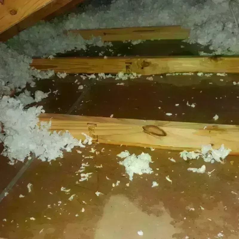 Attic Water Damage in Osgood, IN